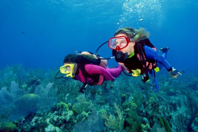 Scuba diving in malvan