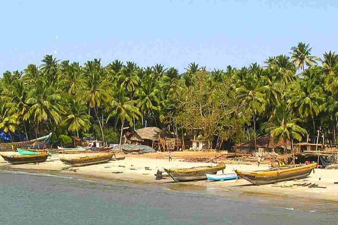 Scuba diving in tarkarli